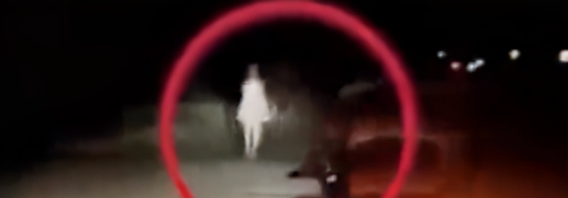 印度神秘的怪异生物,印度发现奇特的生物众人围观