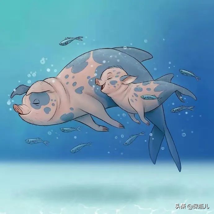 小米手机如何做保险,小米怎么使用碎屏险保