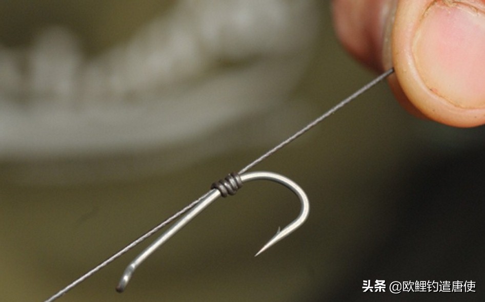 欧鲤钓钓组篇,欧鲤钓组和飞德钓组