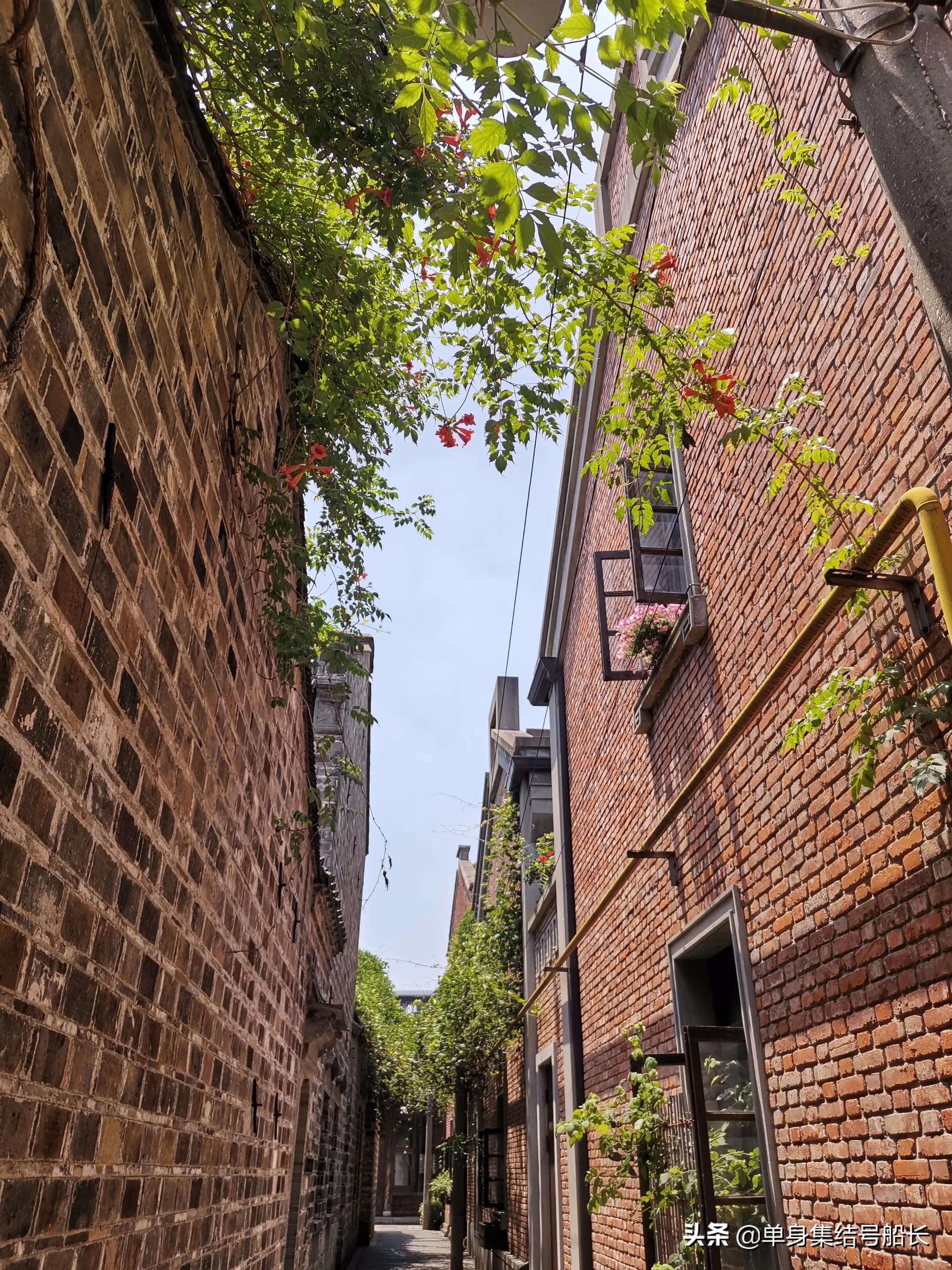 打卡南京老门东，市井坊间尽染六朝烟水气