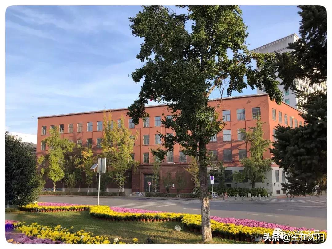 沈阳中山公园东面的老建筑,沈阳中山广场雕像哪年建设