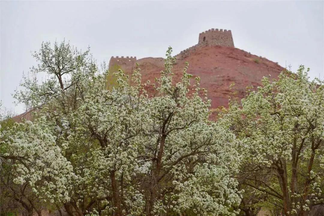 国内必拍的10家最美网红民宿,适合拍照的网红民宿