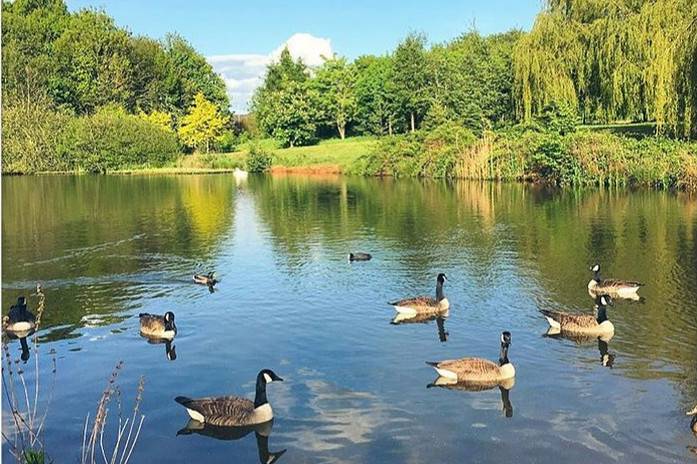 uk高校研究社帝国理工,uk华威大学