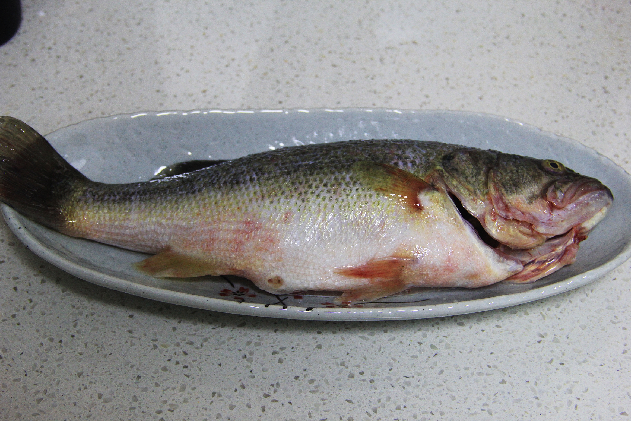 清蒸鱼的正确方法是冷水还是热水,清蒸鱼放盐腌或者直接蒸都不对