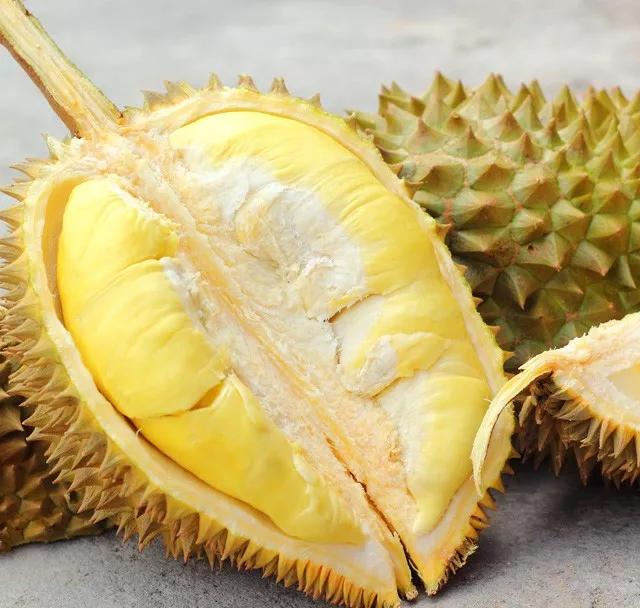 泰国酒店为什么不让带榴莲,为什么泰国酒店不让带榴莲