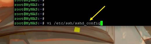 闃挎枃鑿岃nas,鏂囪弻瑁卬as