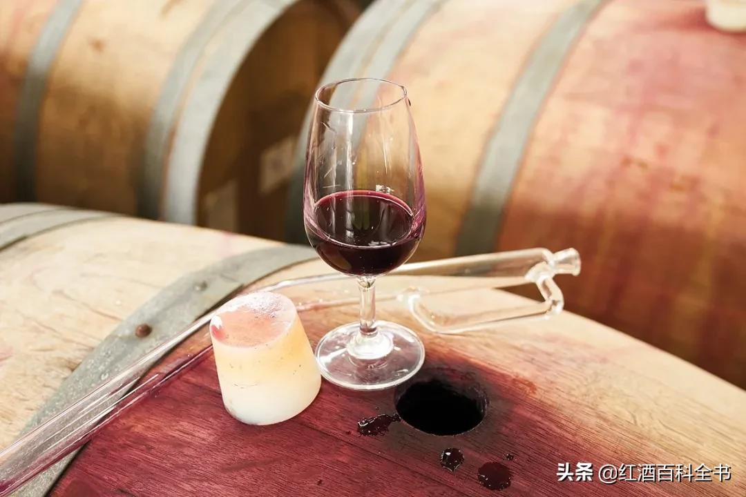 葡萄酒为什么必须使用橡木桶陈酿,葡萄酒达人推荐