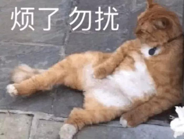 考个研出来学历高了工资也低了,为了考研究生都有多拼