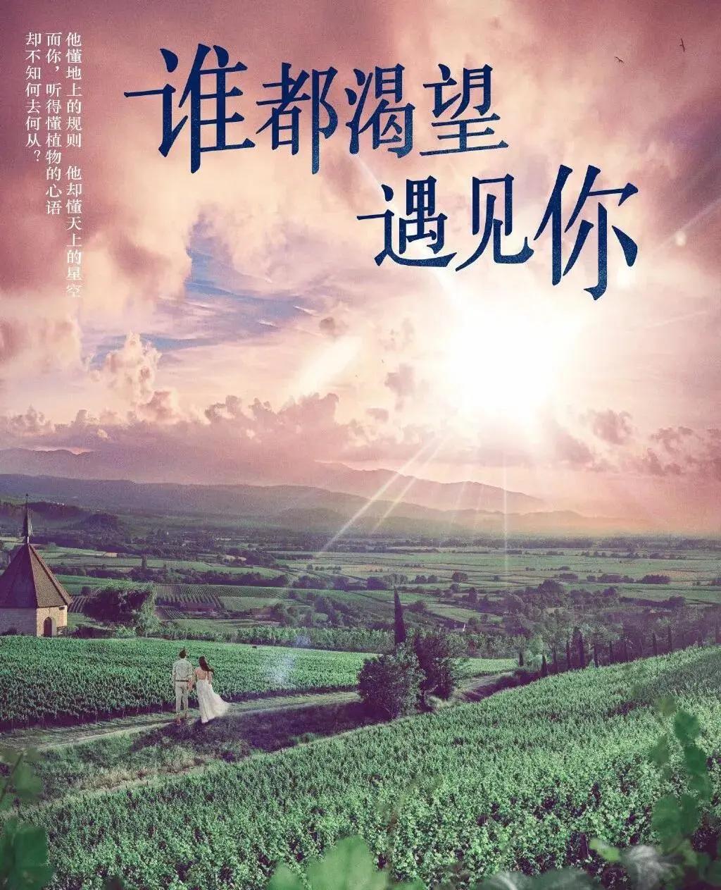 赵薇老公再陷经济纠纷,赵薇老公被抓