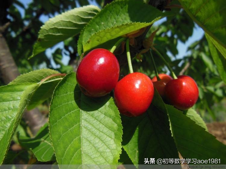 物不知数问题,物不知数问题解法