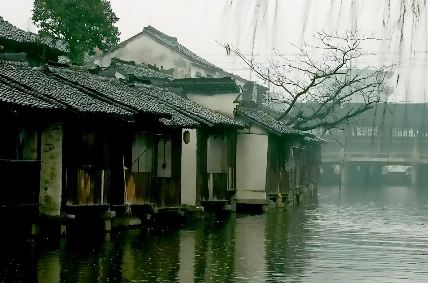 清明的雨散文名篇,清明的雨美文