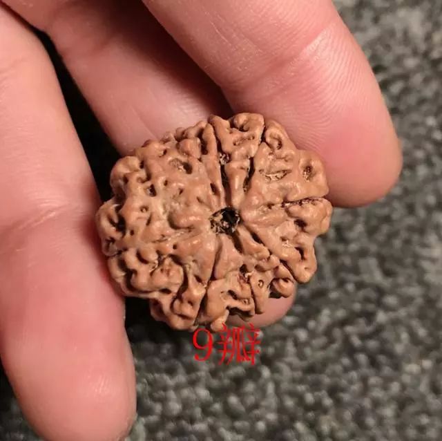 金刚菩提尼泊尔印尼区别,尼泊尔小金刚菩提子怎样快速变红