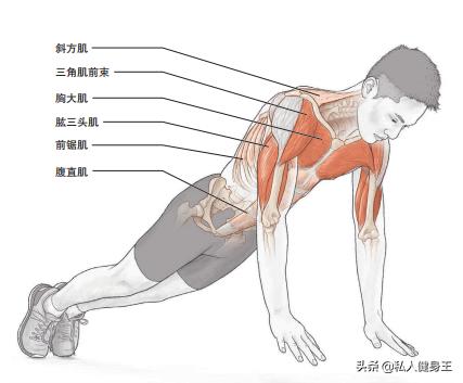 教你13分钟学会俯卧撑发力技巧,新手能做10个俯卧撑如何锻炼臂力