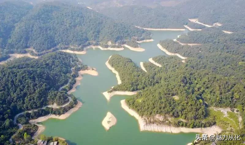 你真的了解顺德吗,你真的了解吗原版