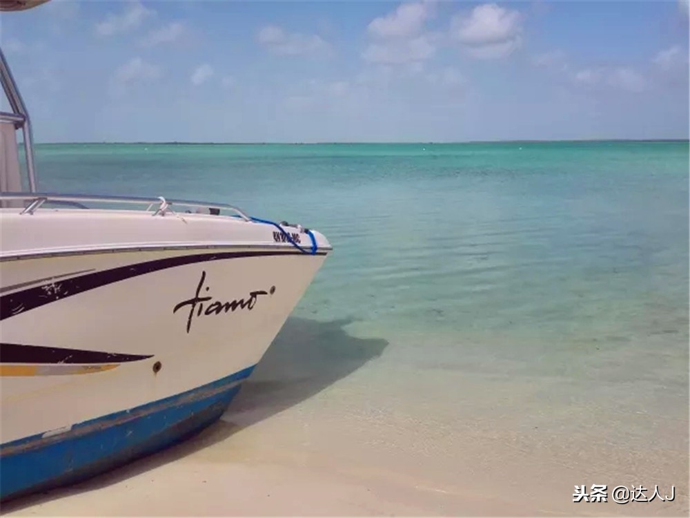 全国10大特色酒店,全国十大最具特色酒店