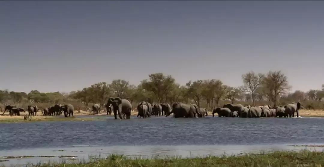 地球的另一端长什么样,地球另一端的意思