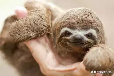 “亚马逊心脏”之城的玛瑙斯