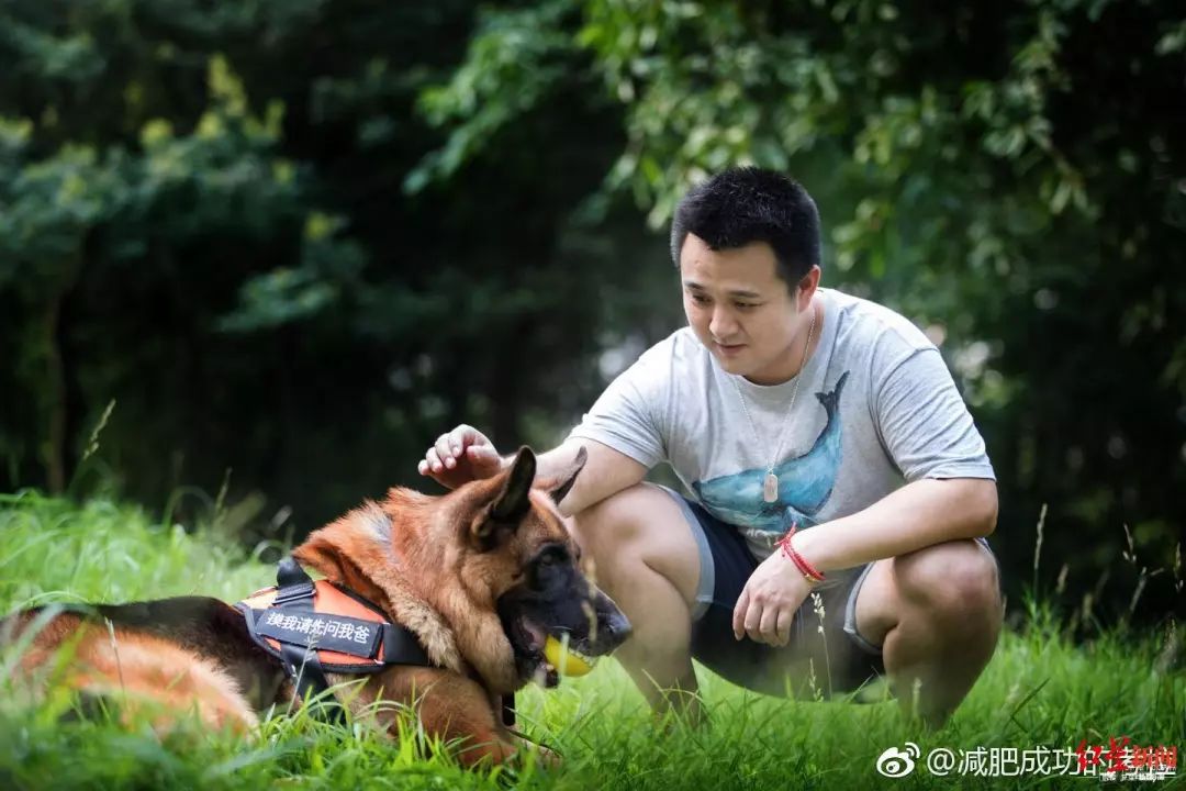 汶川地震狗救了32条人命,汶川地震狗狗救人21人