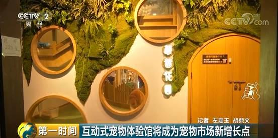 给宠物整个造型，要花5000块钱？小宠物大市场：宠物行业总市值首次破2000亿