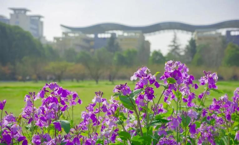 湖北唯一!国务院学位委员会通知:江汉大学成为博士学位授予单位