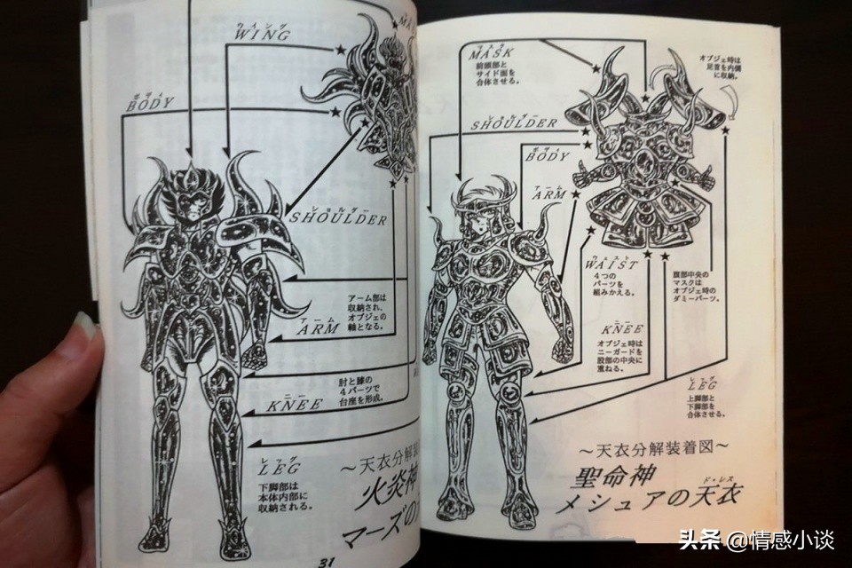 圣斗士一辉经历,圣斗士星矢一辉复活全集