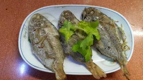 宁波一渔民整理海鲜大全,宁波最全的海鲜