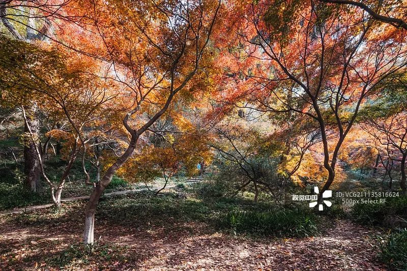 南京历史感沉重的古都,烟水南京