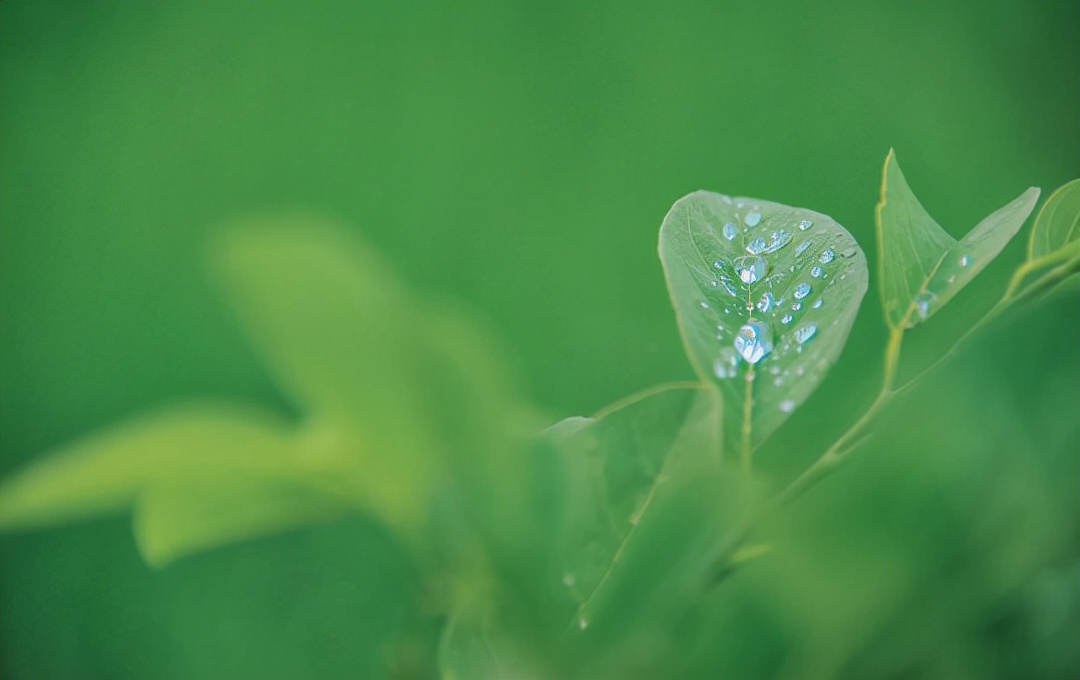 中年人和亲戚相处的忌讳,老年和儿女相处的最好方法