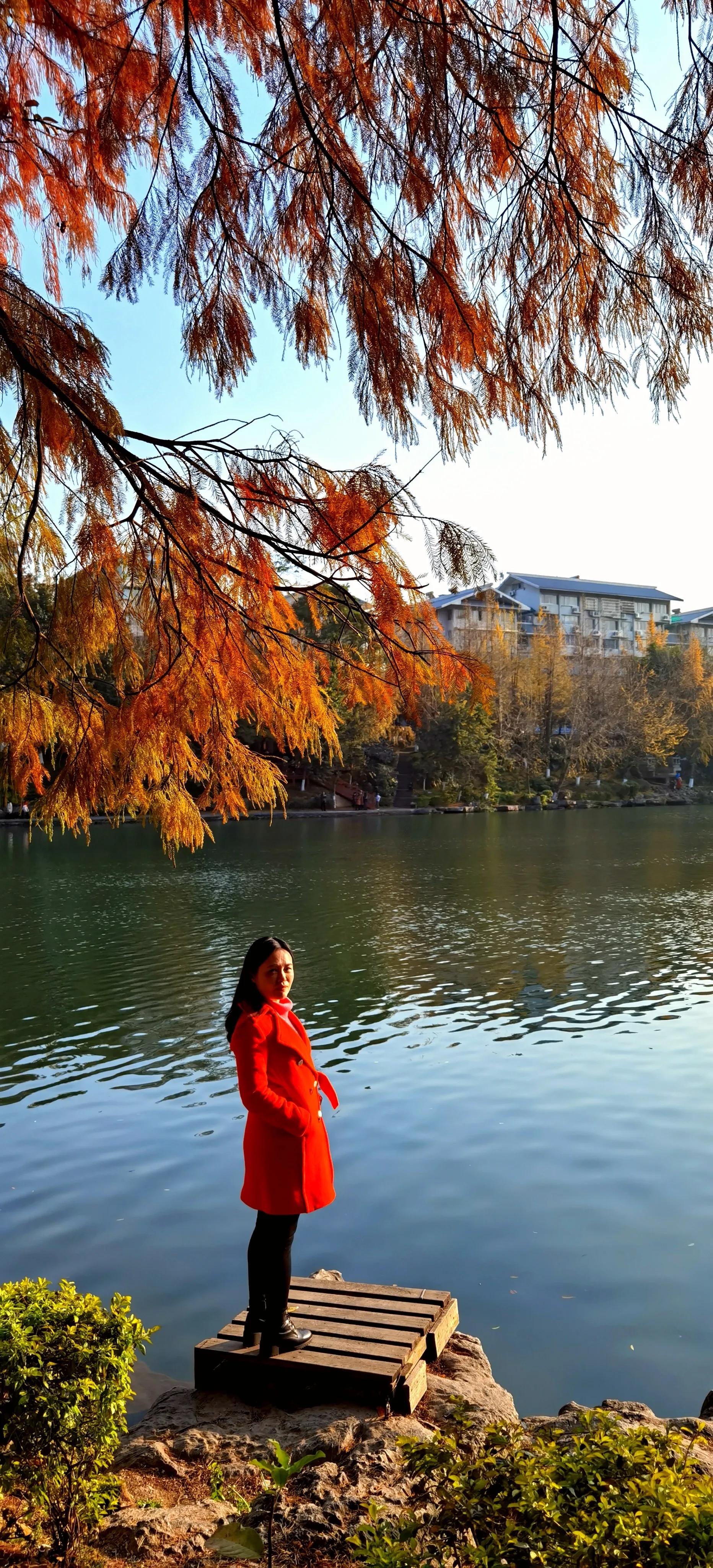 桂林：冬季到桂湖来看景