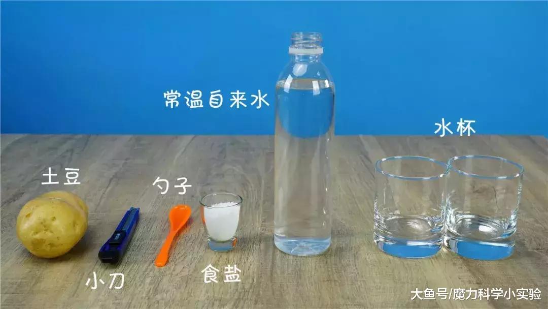 土豆放入水中水面为什么会上升,土豆放盐水变硬是什么原因