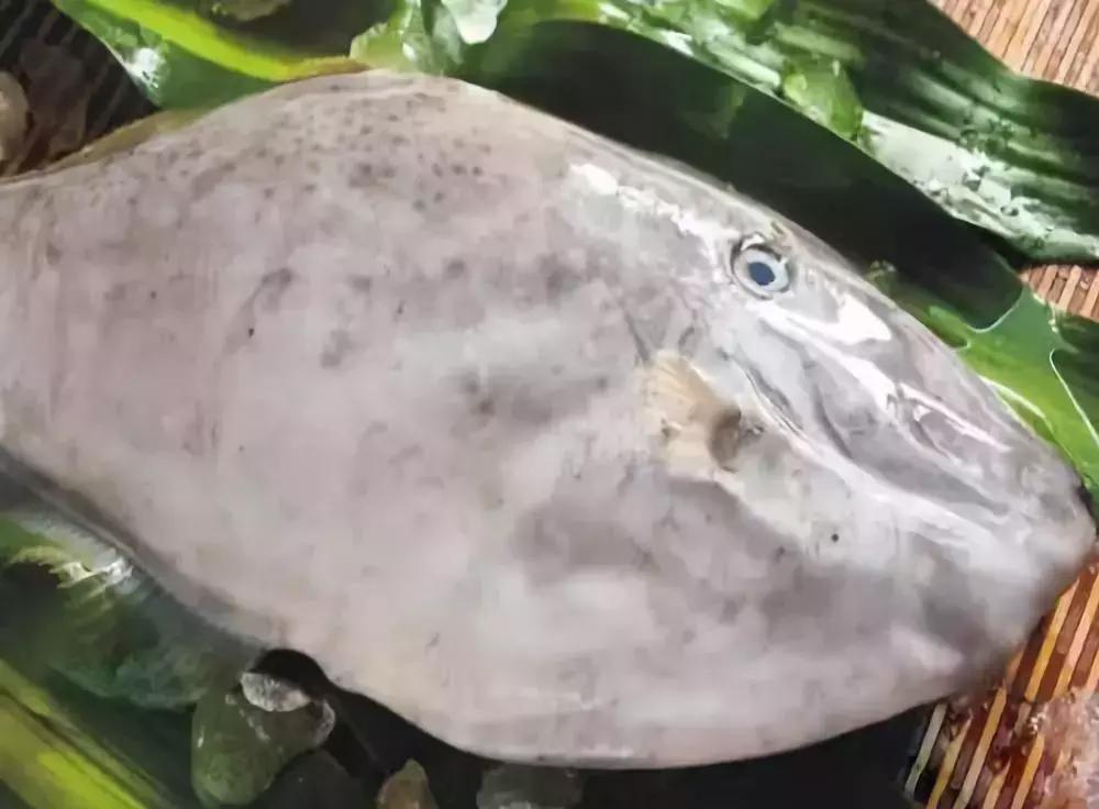 防城港怎么吃海鲜便宜不被坑,防城港干货海鲜有哪些