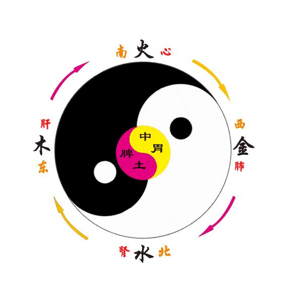 中医治疗癌症原理,从中医角度说感冒