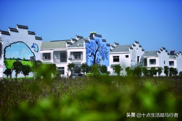 花的世界,鸟的天堂——木兰花乡