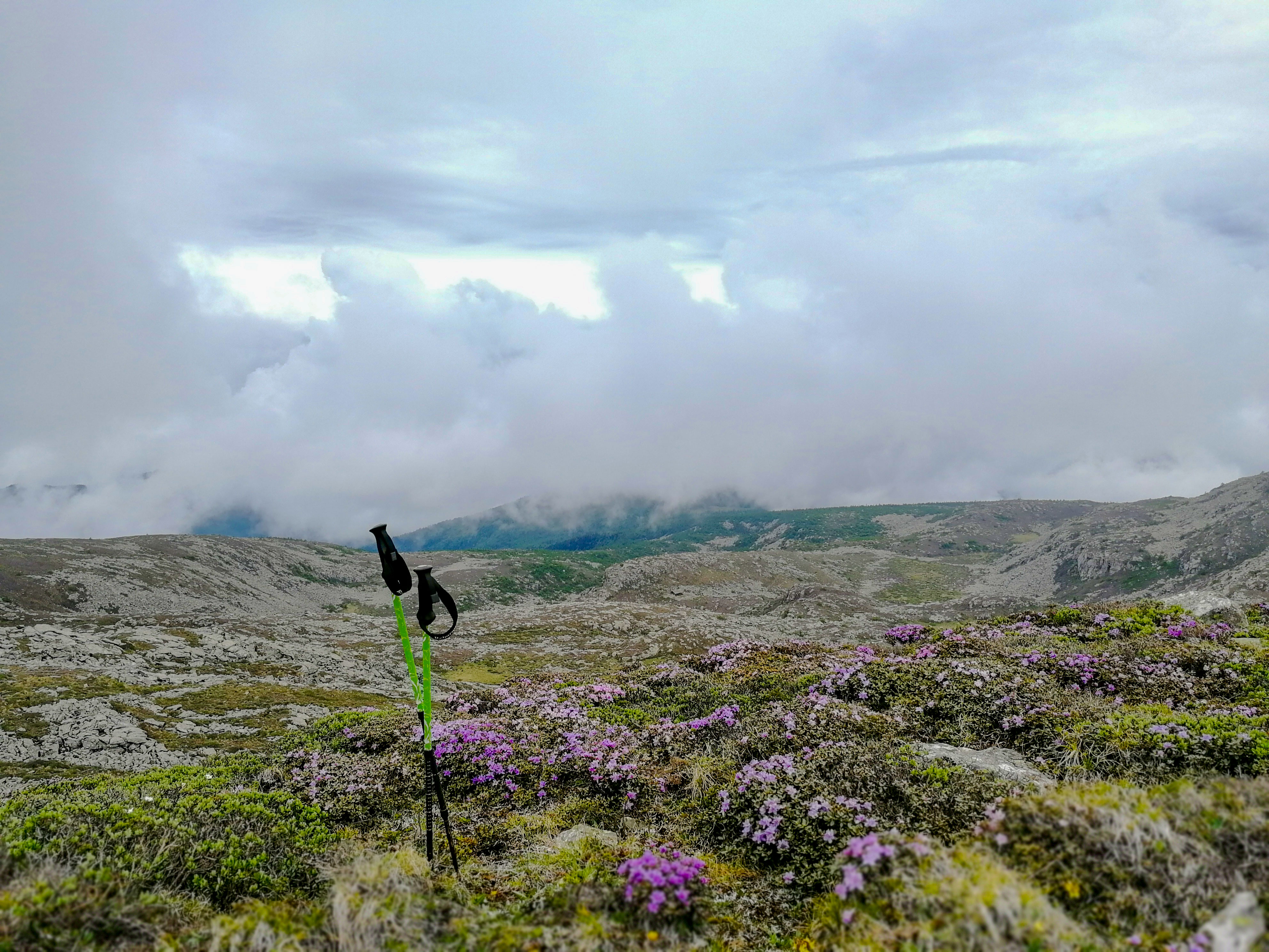 秦岭主峰太白山一日游,陕西秦岭太白山之旅