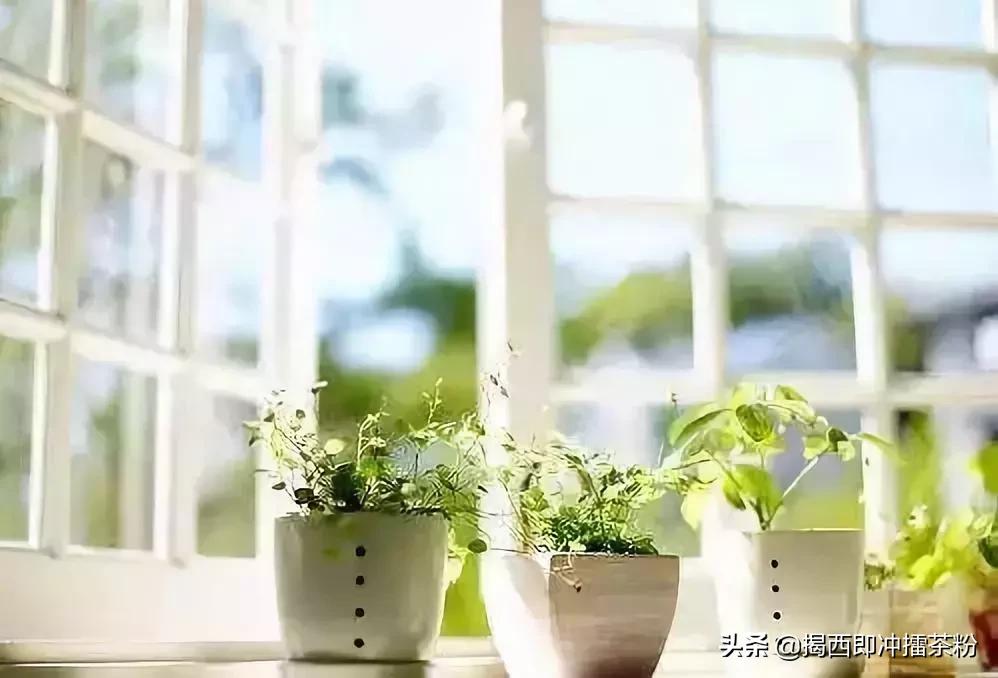 回南天来了教你除湿妙招,回南天实用防潮攻略
