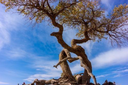 人生感悟一段很现实的话,人生感悟文案