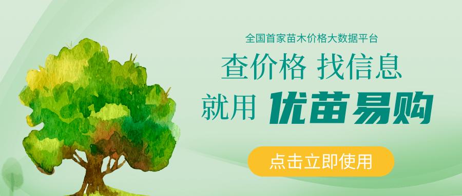 苗木价格查询网站大全免费,优苗苗木