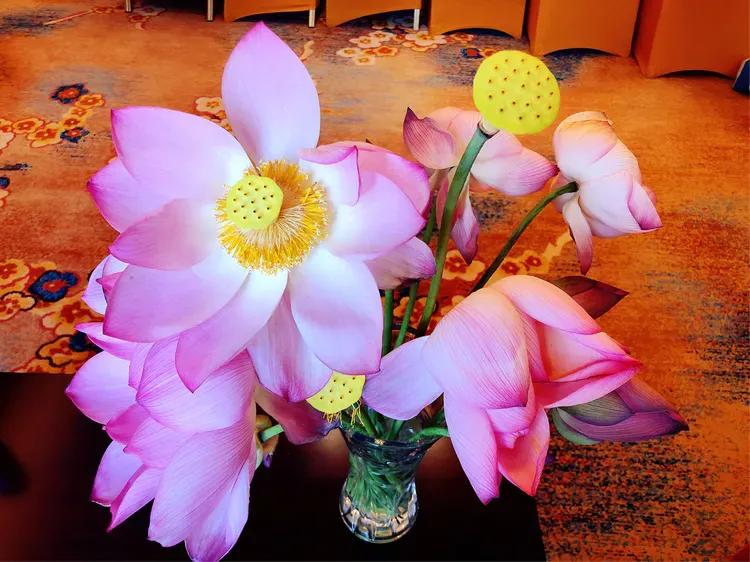 沄智心理:“恐惧”的情绪背后