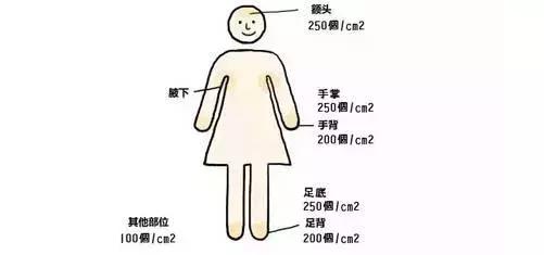 这一整个夏天我都不开空调,你敢信?