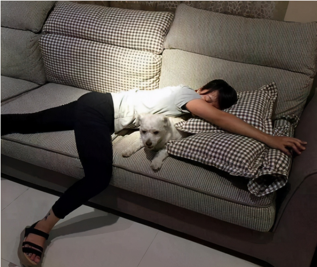 妈妈说你懒怎么回,妈妈你怎么这么懒高情商回答