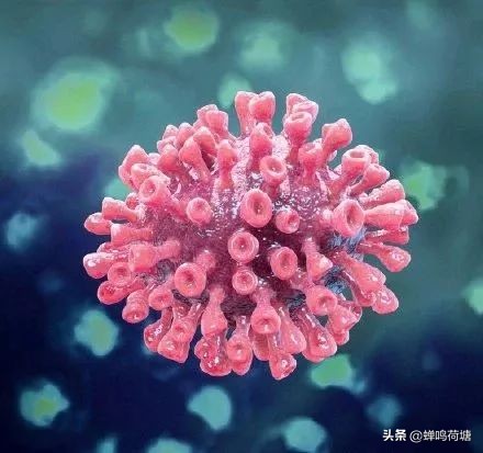 来自湖北的主播,湖北电台主持人隔空对话