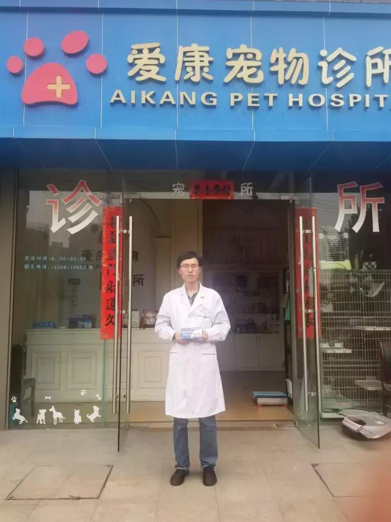 老年犬病后虚弱怎么办,老年犬肾衰怎么办