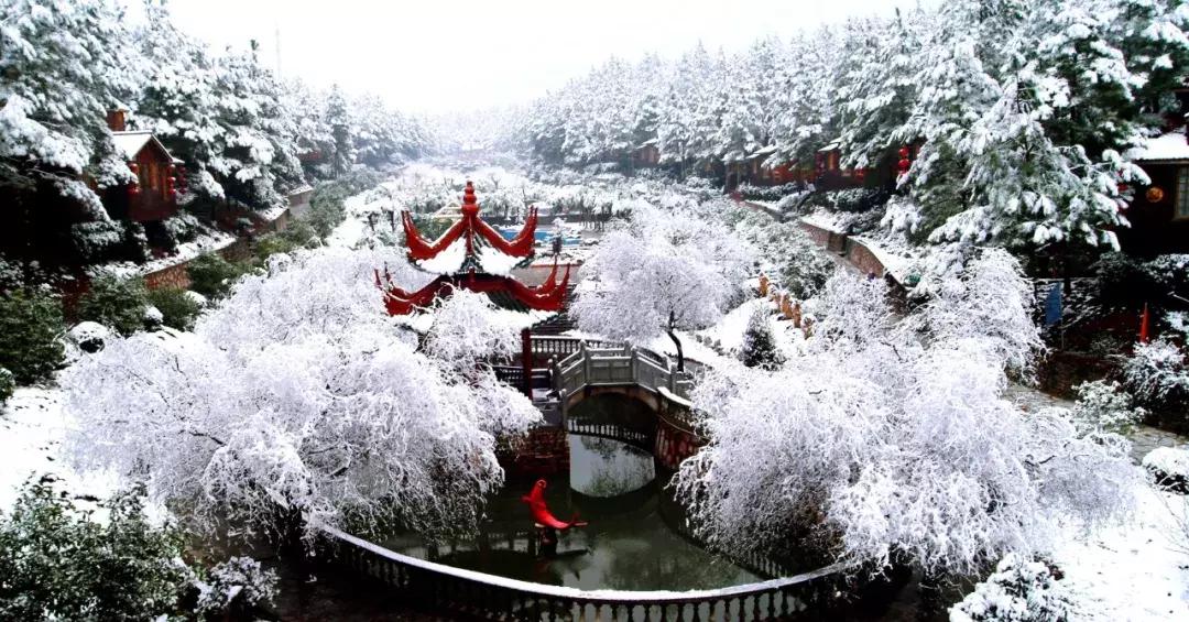 诗意人生不负青春的诗句,诗意深秋不负光阴不负卿