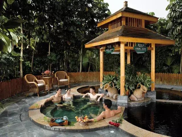 中国养生硒谷温泉度假小镇,欢喜岭湿地温泉养生度假小镇