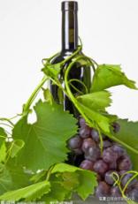 贵腐葡萄酒属于哪种葡萄酒,贵腐酒和冰白葡萄酒的区别