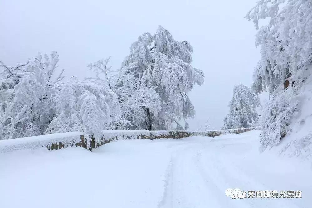 “色香味形”面面俱到！这样的南江你见过吗？