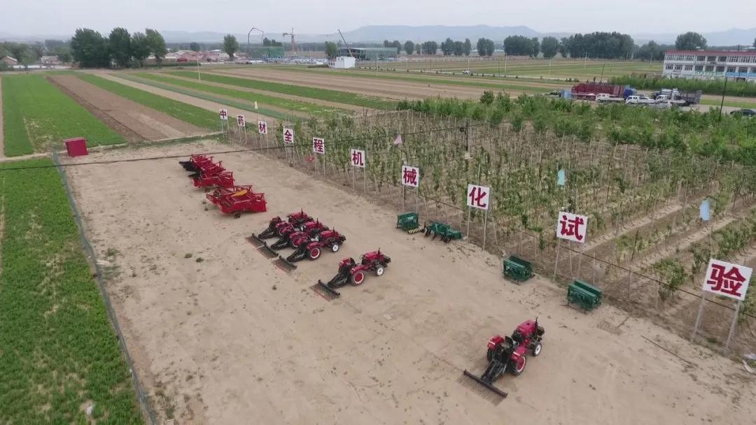 幸福生活到底啥模样,幸福生活到底是什么样的