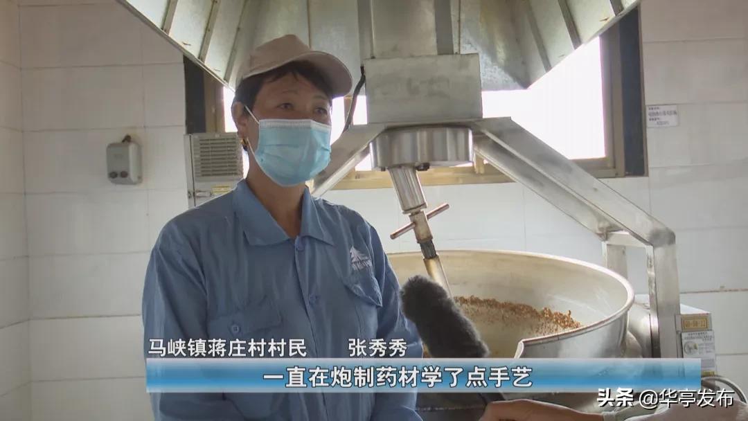 平凉青松中药饮片,华亭市青松中药饮片公司