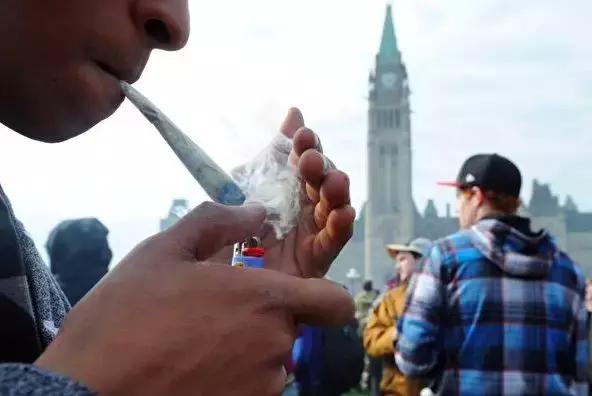 关于工业大麻合法化事件,美国工业大麻合法化对市场的影响