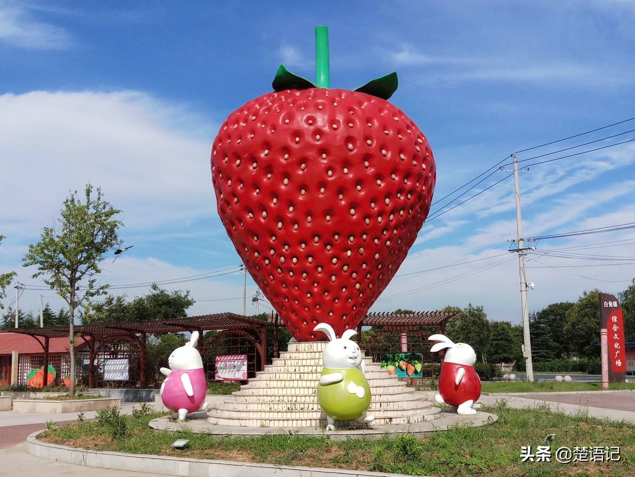 句容白兔镇草莓之乡,白兔镇樱花园